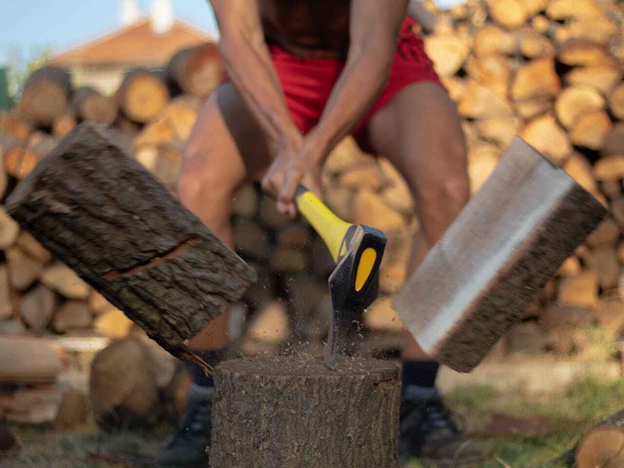 The Steps Involved in Our Tree Care Process in Kahoka, MO